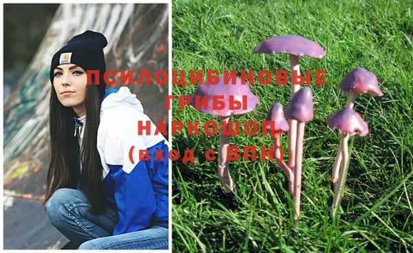 MDMA Premium VHQ Алзамай