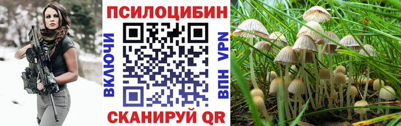 даркнет сайт  гидра ONION  Галлюциногенные грибы Magic Shrooms  Череповец 