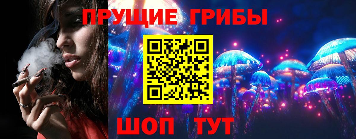 Галлюциногенные грибы прущие грибы Череповец
